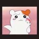 예치과의원 | 춘천 예치과 매복사랑님 발치 후기 / 사랑니 뽑기 전 꿀팁(제발 읽고가)