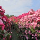 금호강변로 이미지