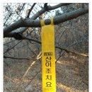 지리산주유소 이미지