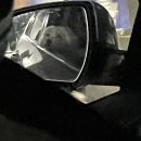 홍제동물병원 이미지