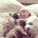 에스엠세탁 이미지