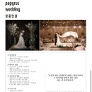 서울파피루스 | 대구경산 본식 스냅사진 계약 _파피루스웨딩(짝꿍코드할인)📸