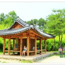 대숲속으로 이미지