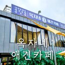 옥자네애견카페 유치원 호텔 미용 이미지