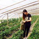 서주농장 이미지