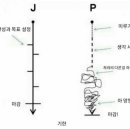 김삿갓흙집이야기 이미지