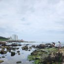 (주)큰바다 수산식품 | 부산 아이와가볼만한곳 기장수산과학관 무료 게잡기 체험, 잉어 먹이주기 후기