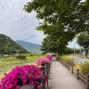 금산천 데크길 이미지