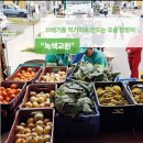 (주)정주환경 | 독서토론 책 추천ㅣ행복도시 꾸리찌바 박용남 매력적인 도시의 비밀