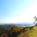 성흥산 화장실 이미지