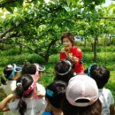 샘내어린이집 이미지