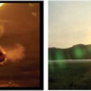 다음사료 영농조합법인 이미지