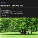 [시편 91편] 전능하신 분의 그늘에 사는 자는 이미지