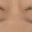 봉자속눈썹 이미지