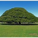 거북이가든 이미지