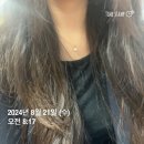 수원-0824 | 2024년 8월 4주차 | 럭키비키🍀