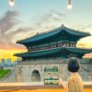 팔레센트 네이버블로그