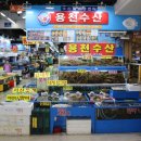 용천 | 가락시장 방어 맛집 푸짐한 한상 용천수산 찐 후기