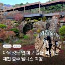 숲속의 옹달샘 | 혼자힐링여행 당일치기 추천코스 제천충주 깊은산속옹달샘 포레스트 리솜 림느린감성가게