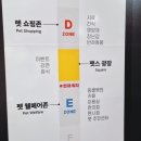 부산애견 이미지