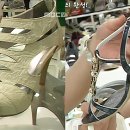여름기획주 이미지