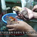 나팔횟집 이미지