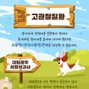 판교 행복한 동물병원 이미지
