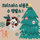 수멍발소 이미지