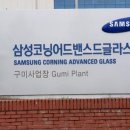 삼성코닝어드밴스드글라스