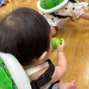 대치1문화센터 | 울산 북구 롯데마트 문화센터 진장점 1일특강 후기(토리토리 오감놀이 ‘엉금엉금 거북이’)
