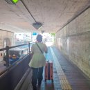 라성호텔 맞은편 | 후쿠오카 기타큐슈 컴포트 고쿠라 호텔 기타규슈 여행