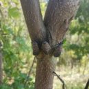 산림청 영월국유림관리소 이미지