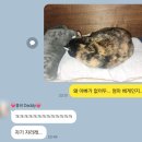 9월 일상 4탄 | 다피노쉐프 생일파티와 할머니 납골당 액자 제작 업체 추천