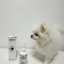 가재울봉쥬르동물병원 | [강아지 위생용품] 워니펫 베토퀴놀 오티프리 귀세정제