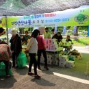 정선산나물 - 정선군 고한7길 5-37 | 정선산나물