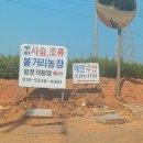 에덴감자탕 | 내돈내산 에덴수산 향어회 향어탕