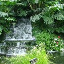 여미지식물원 이미지