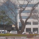 고창군청 이미지