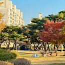 옥구인조잔디축구장 이미지