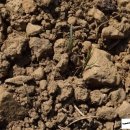 마룡농장 이미지