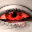 오장전자 이미지