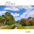 영천서원 티스토리