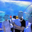 해운대자연유치원 | 아기랑 해운대 씨라이프부산 아쿠아리움 관람 후기ㅣ무료주차장 공연시간 포토존 할인 팁