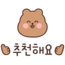 고양이 무마취미용 고미고미 화명점 이미지