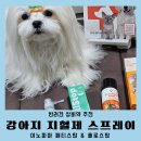 포뮬라의원 | [공지] 강아지 지혈제 스프레이 이노파마 반려동물상비약 추천