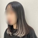 부치농장 | 부산붙임머리, 브릿지 붙임머리 그레이컬러 솔직후기 부치다붙임머리