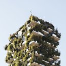 보스코(BOSCO) 이미지