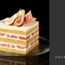 호텔샤인 이미지