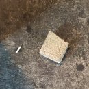 무릉별유천지 진입로 | 내가P?_계획은 없어, 동해 여행편🎞️