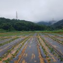 재호농장 이미지